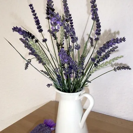 شقة App. Weisses Haus هوين نويندورف