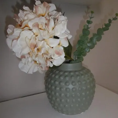 شقة App. Weisses Haus