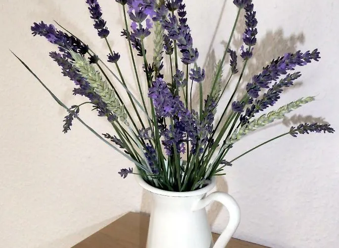 شقة App. Weisses Haus هوين نويندورف