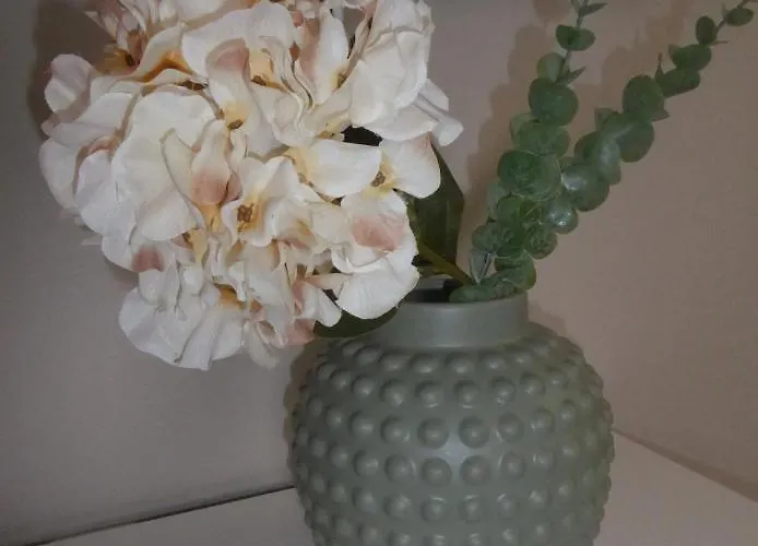 شقة App. Weisses Haus